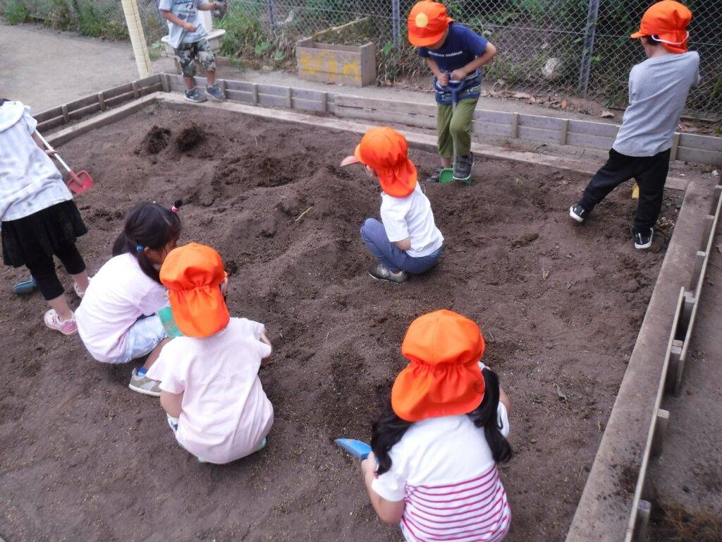 年中 栽培活動 関東学院のびのびのば園 年中 栽培活動 関東学院のびのびのば園